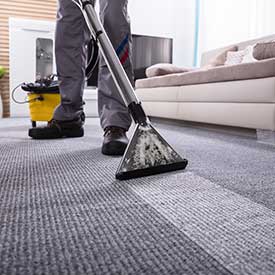 Cleaning the Carpet