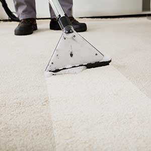 Carpet Cleaning